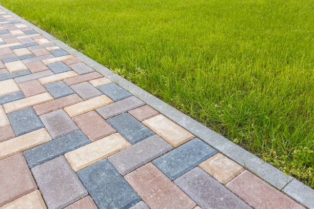 Best Driveway Repair Near Me  in Wren, AR